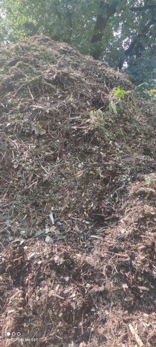 Zrębka / Trociny / Kora sosnowa