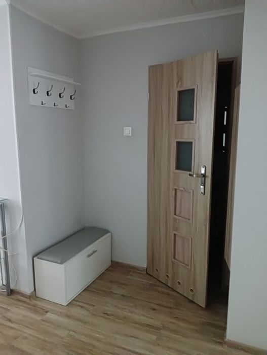 Mieszkanie w centrum do wynajęcia