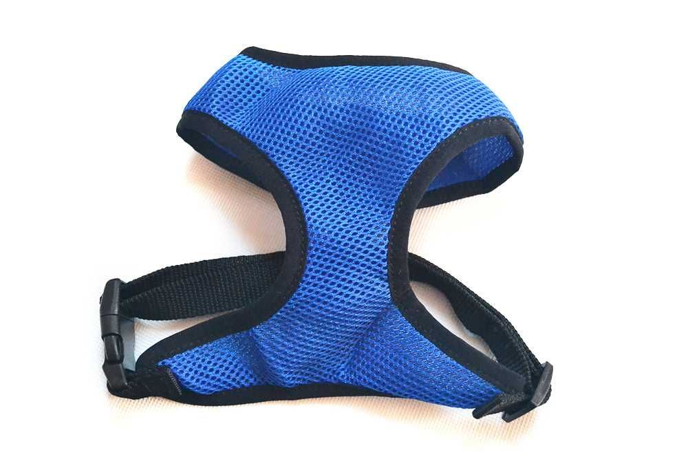 Szelki dla kota niebieskie