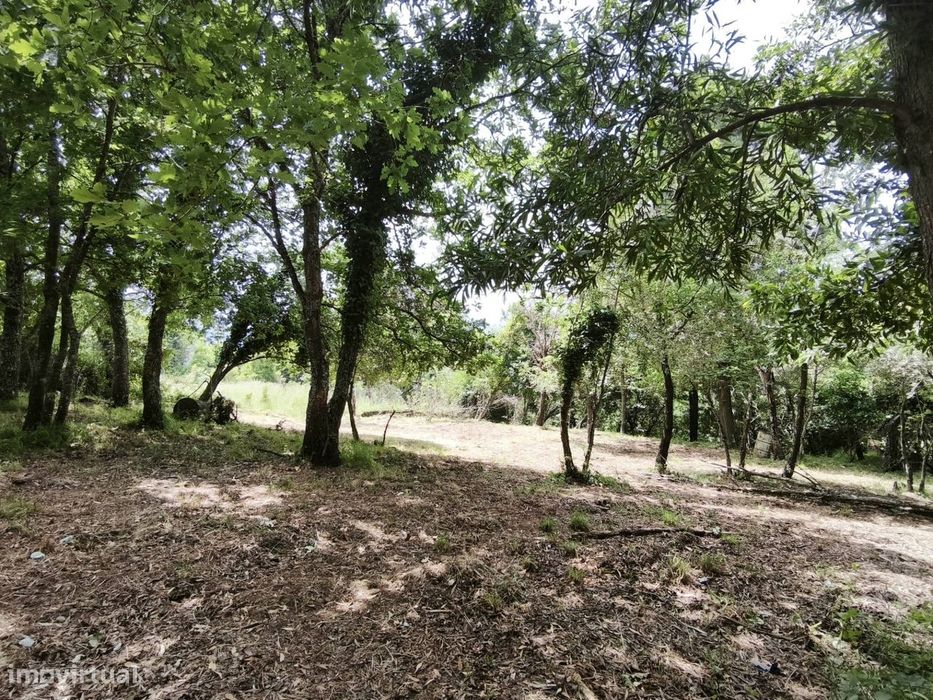 Moradia Isolada T3 Venda em Lousã e Vilarinho,Lousã