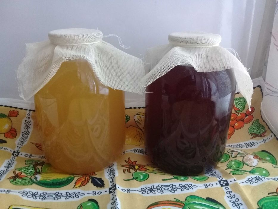 Домашний натуральный яблочный уксус на меду  яблучний  оцет