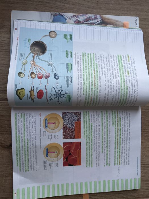 Manual Terra, Universo de Vida - Biologia e Geologia - 1ª Parte 11 ano