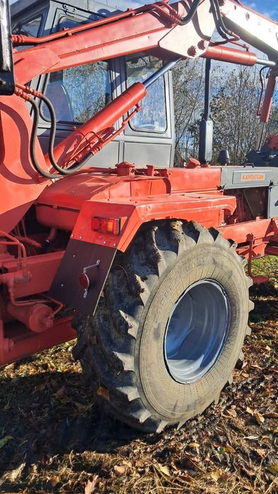 Продається карпатець