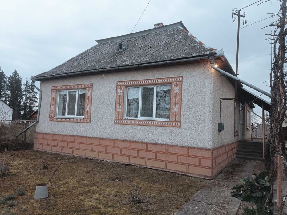 3-Х КІМНАТНИЙ будинок у ХОРОШОМУ ЖИТЛОВОМУ СТАНІ на Берегівщині (село Оросієво), ІНДИВІДУАЛЬНЕ ГАЗОВЕ ОПАЛЕННЯ, ВЕЛИКА ДІЛЯНКА, 2 гаражі, підвал