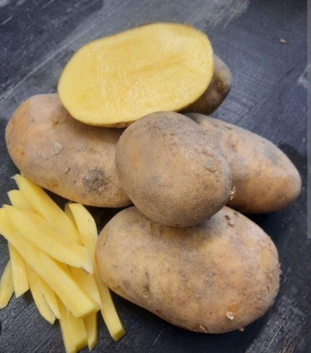 Batata e cebola  Preço Top
