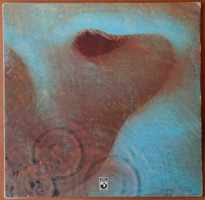 Discos de vinil usados - Pink Floyd, David Bowie, Eagles, etc.