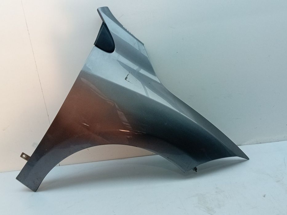 Guarda-lamas direito RENAULT Megane III (BZ0_)