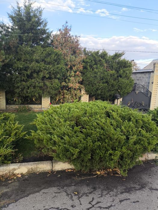 Сдам дом в идеальном состоянии с большим гаражом видео по запросу скин