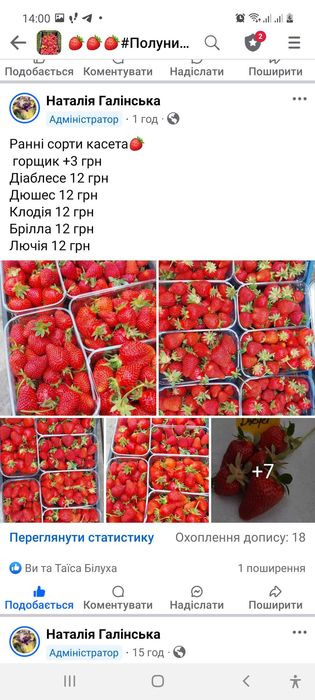 Продаж саджанців полуниці)