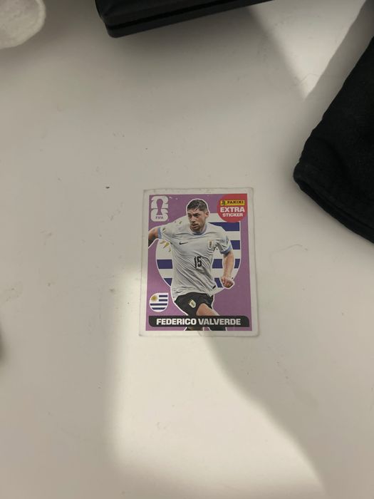Legend Valverde bordô