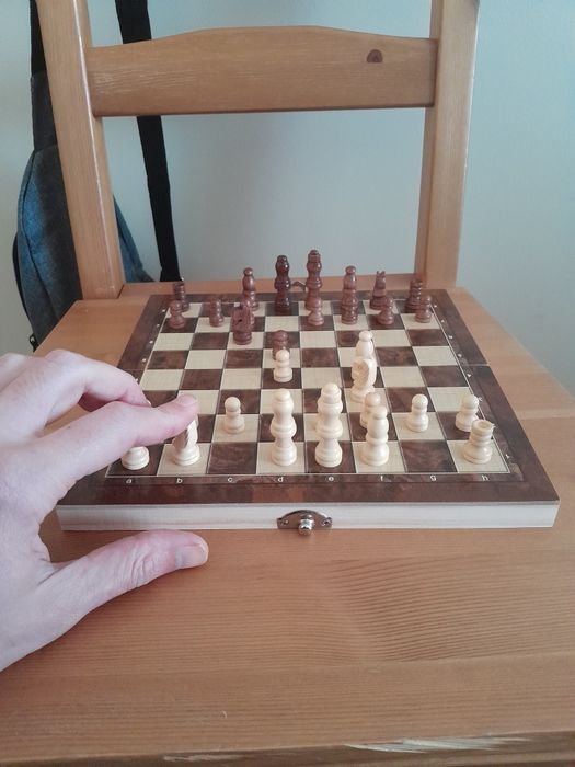 Xadrez, Damas e Backgammon