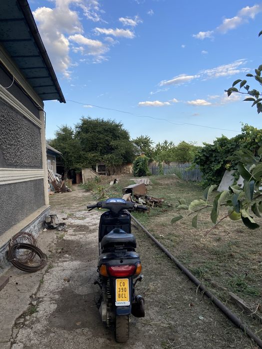 Piaggio zip sp 80