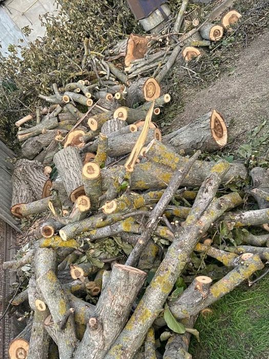 Продам Дрова горіха