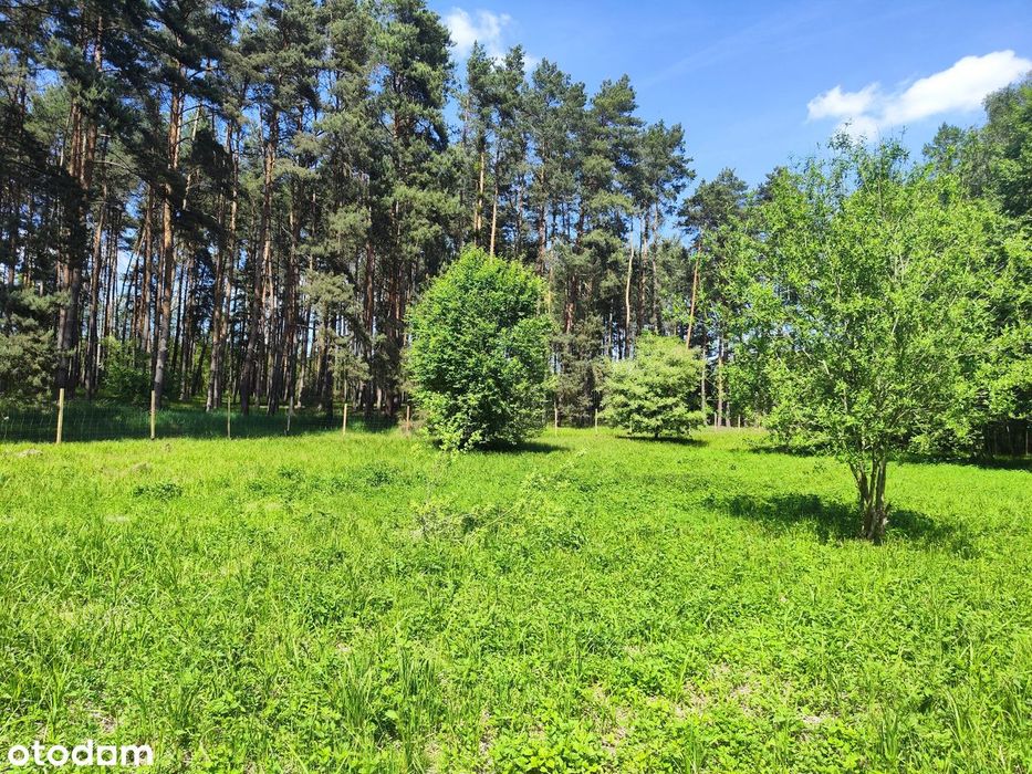 Słoneczna enklawa nad Jeziorem Lgińskim Małym – 1000m2, jezioro, las