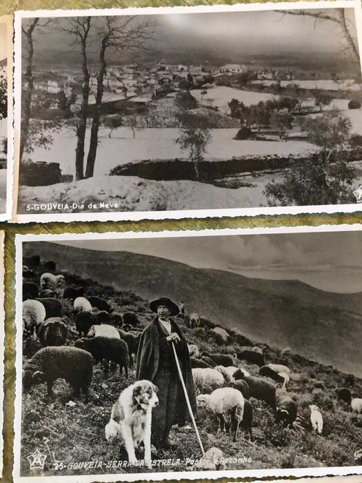 Postais antigos de Gouveia, preço por Postal