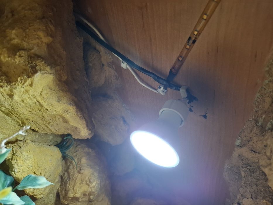 Terrarium dla gekona