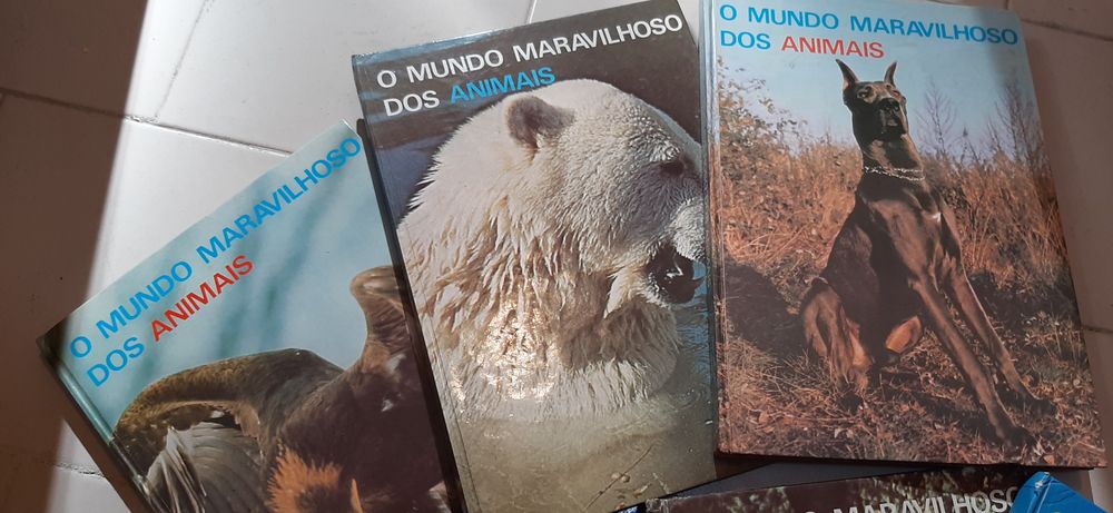 Coleção de 6 livros