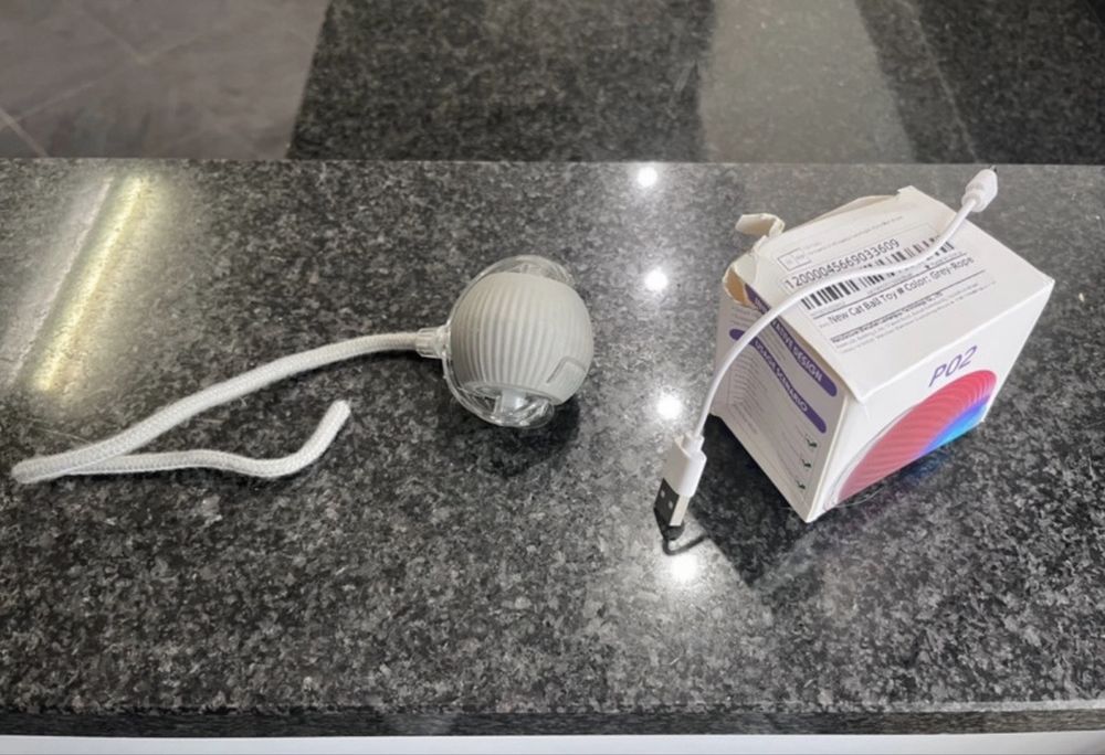 Casa com pernas para gatos