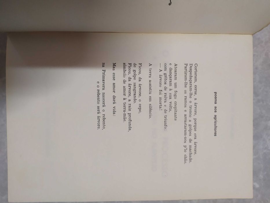 O Fracasso de um Processo - Vacas de Carvalho