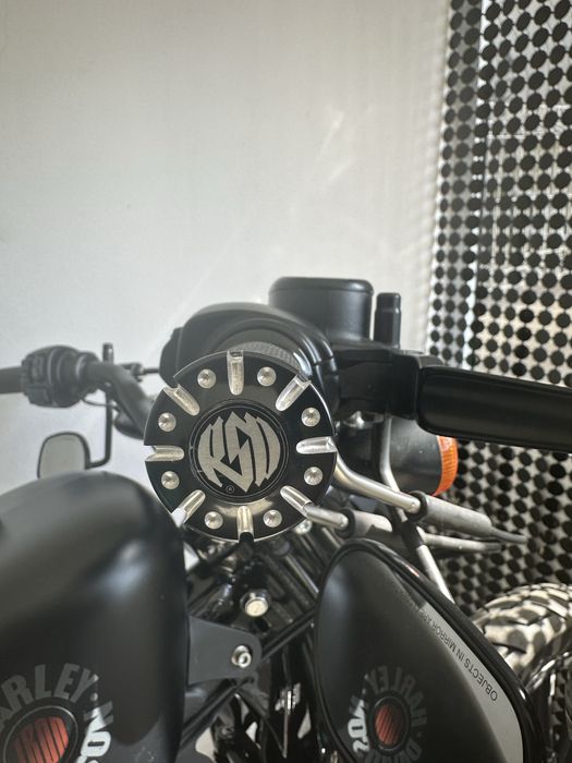 Harley-Davidson Iron 883