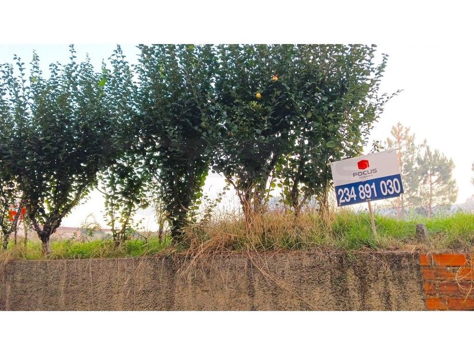 Terreno para venda com 26m de frente no centro de Fermentelos