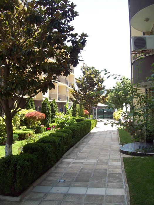 Отдых в Болгарии, центр Солнечного Берега, комфортная студия, аренда