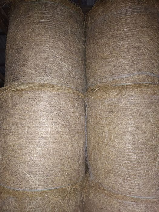Sloma pszenzytnia 150x120 owsianka 125x120