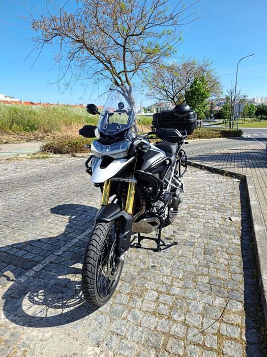 Triumph Tiger Rally Pro