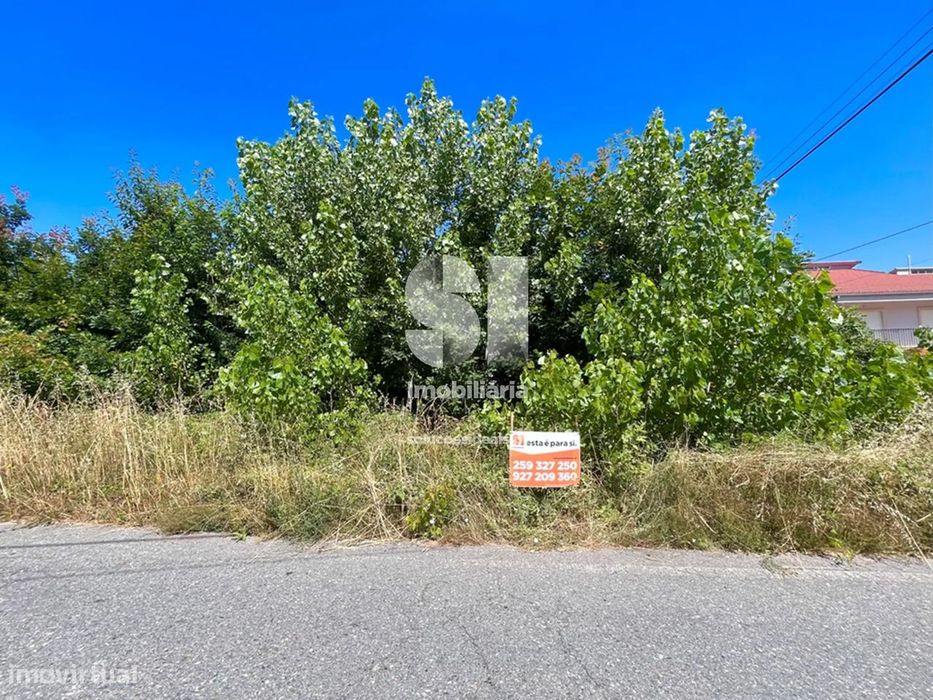 Terreno em Vila real