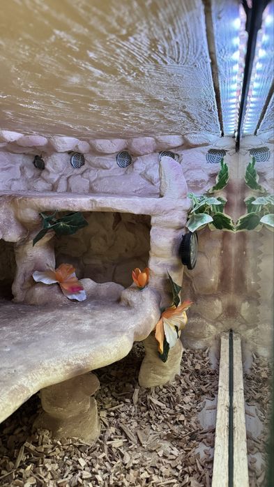 Terrarium 2w1 ręcznie wykonane