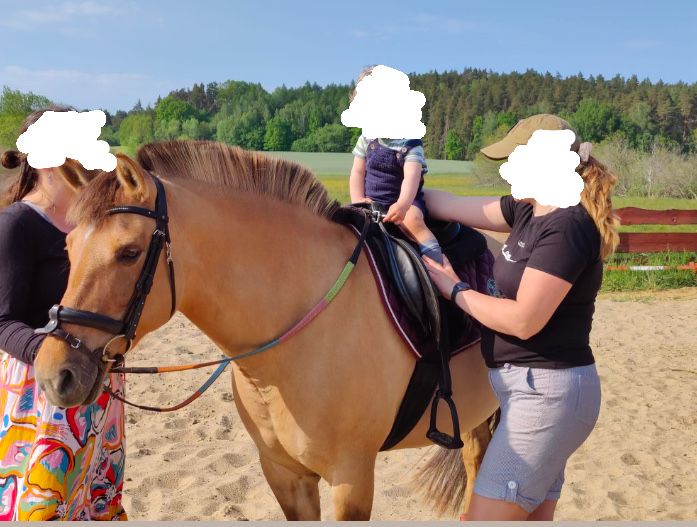 Super kucyk do hipoterapii