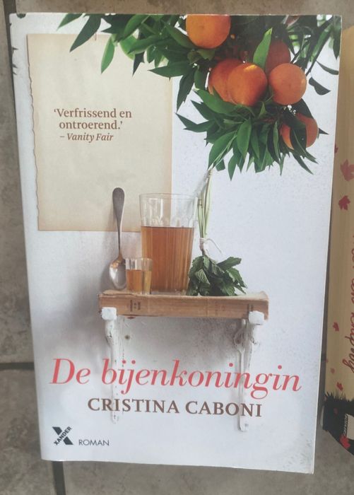 Vendo livros língua Holandesa