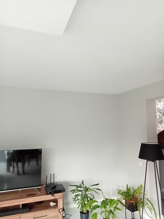 Malowanie, układanie paneli , elementy dekoracyjne mieszkań.