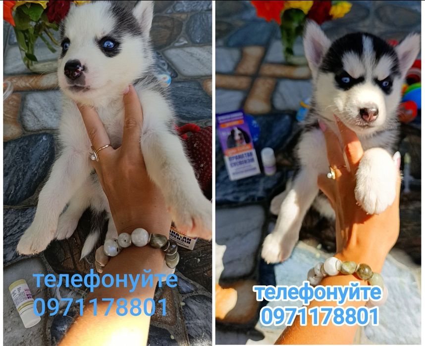 Ті, хто дивляться прямо в душу.