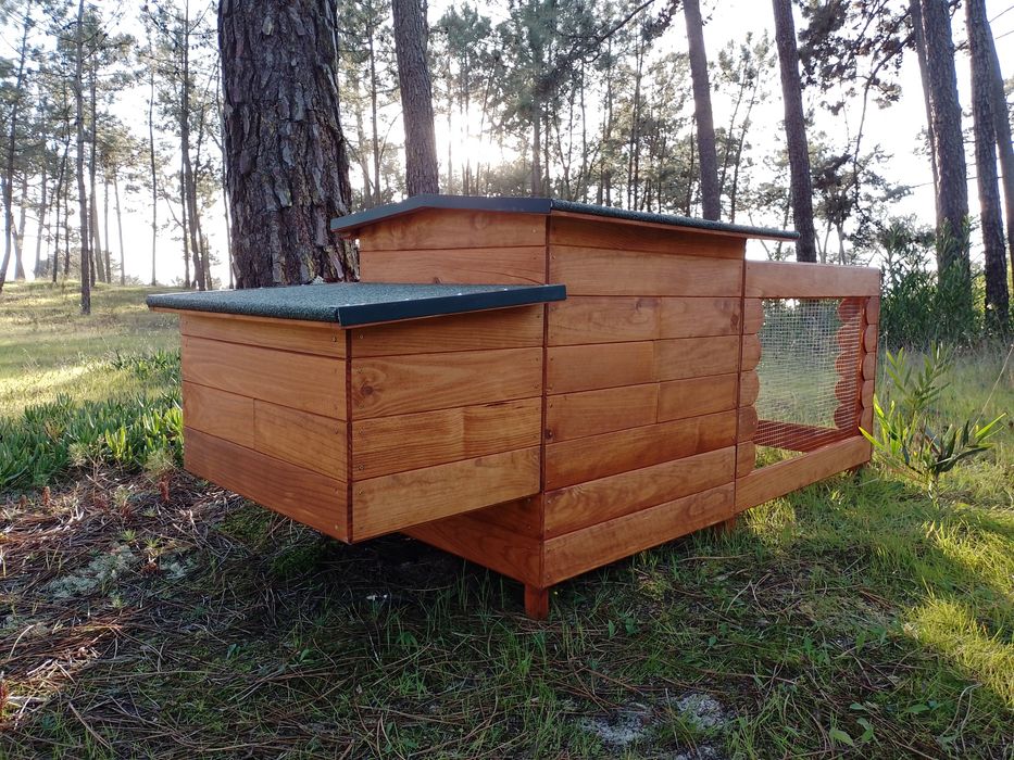 Capoeira para exterior