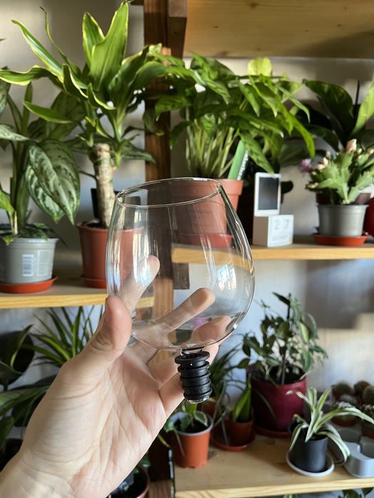 Келих-корок для вина