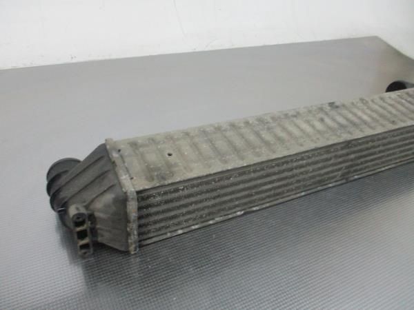 Radiador do intercooler VOLKSWAGEN Sharan (7M)