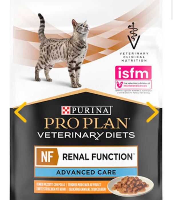 Корм ренал для кішок