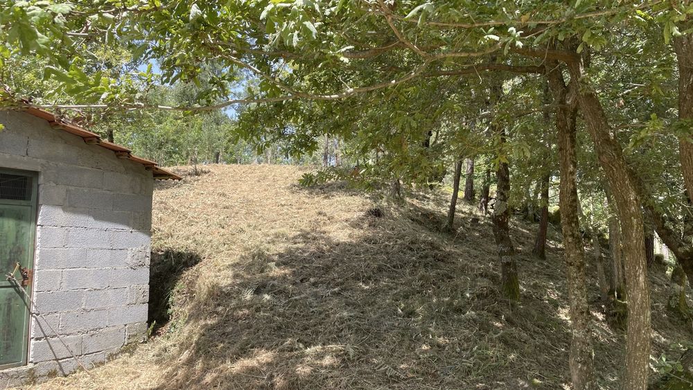 Oprtunidade- Quinta com casa rustica para restauro