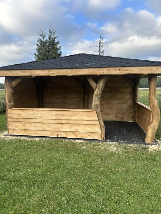 Altana Altany z bala