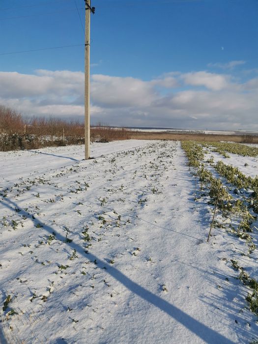 Продам земельну ділянку
