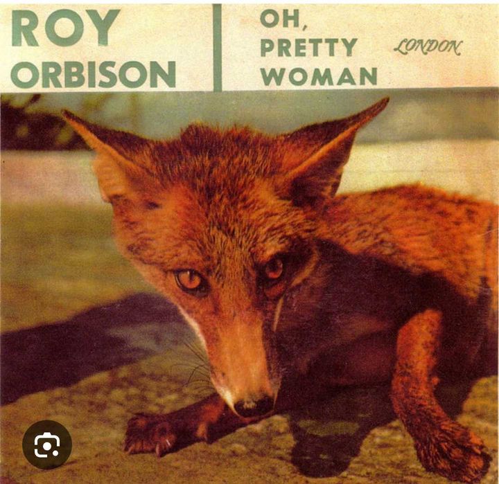 Roy Orbison Single (compro)