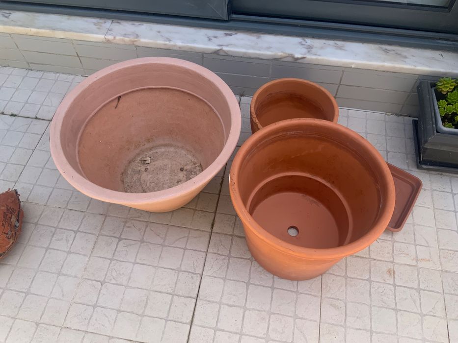 Vasos para plantas