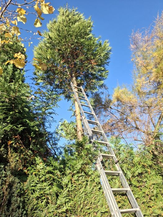 Usługi ogrodnicze, Uprawa glebogryzarką, rębakiem, wertykulacja