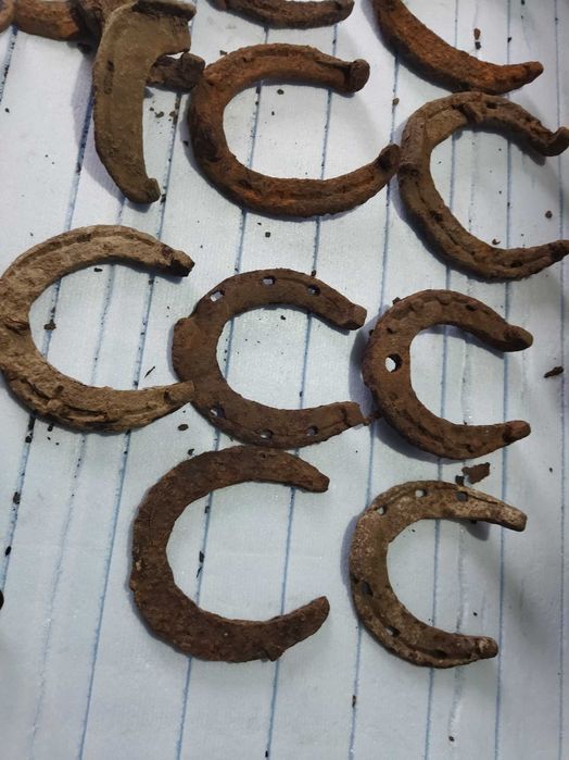 Набійки знахідки для копит тварин