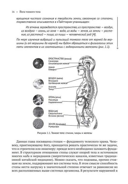 Йога тонкого тела. Анатомия йоги. Хатха-йога. Чакры Тиас Литтл