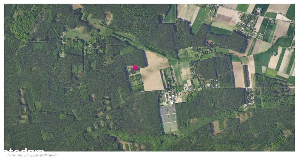 W Bezpośrednim Sąsiedztwie Lasu