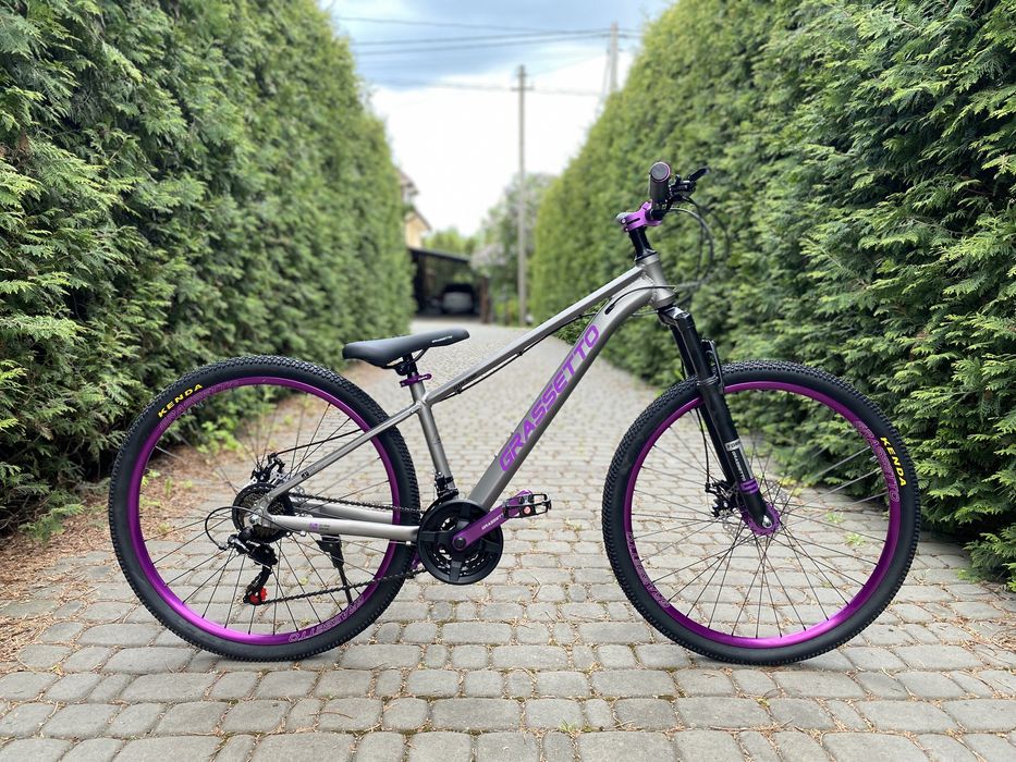 Гірський велосипед Grassetto 29 grey-violett