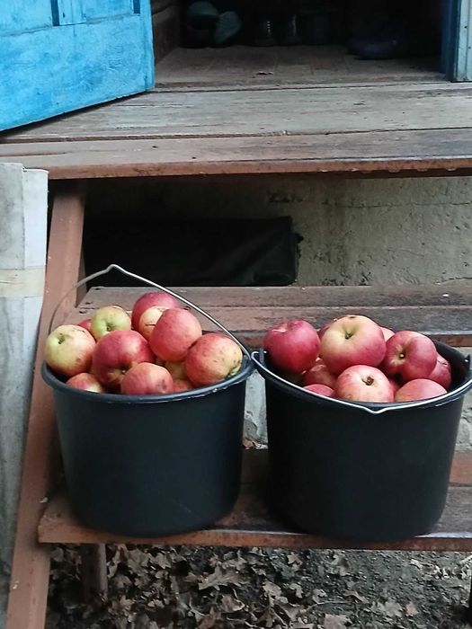 Продається дом в Садовом Товаристві 380955336297