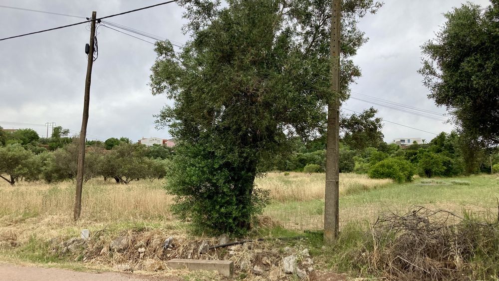 Terreno Rustico em São Brás Alportel